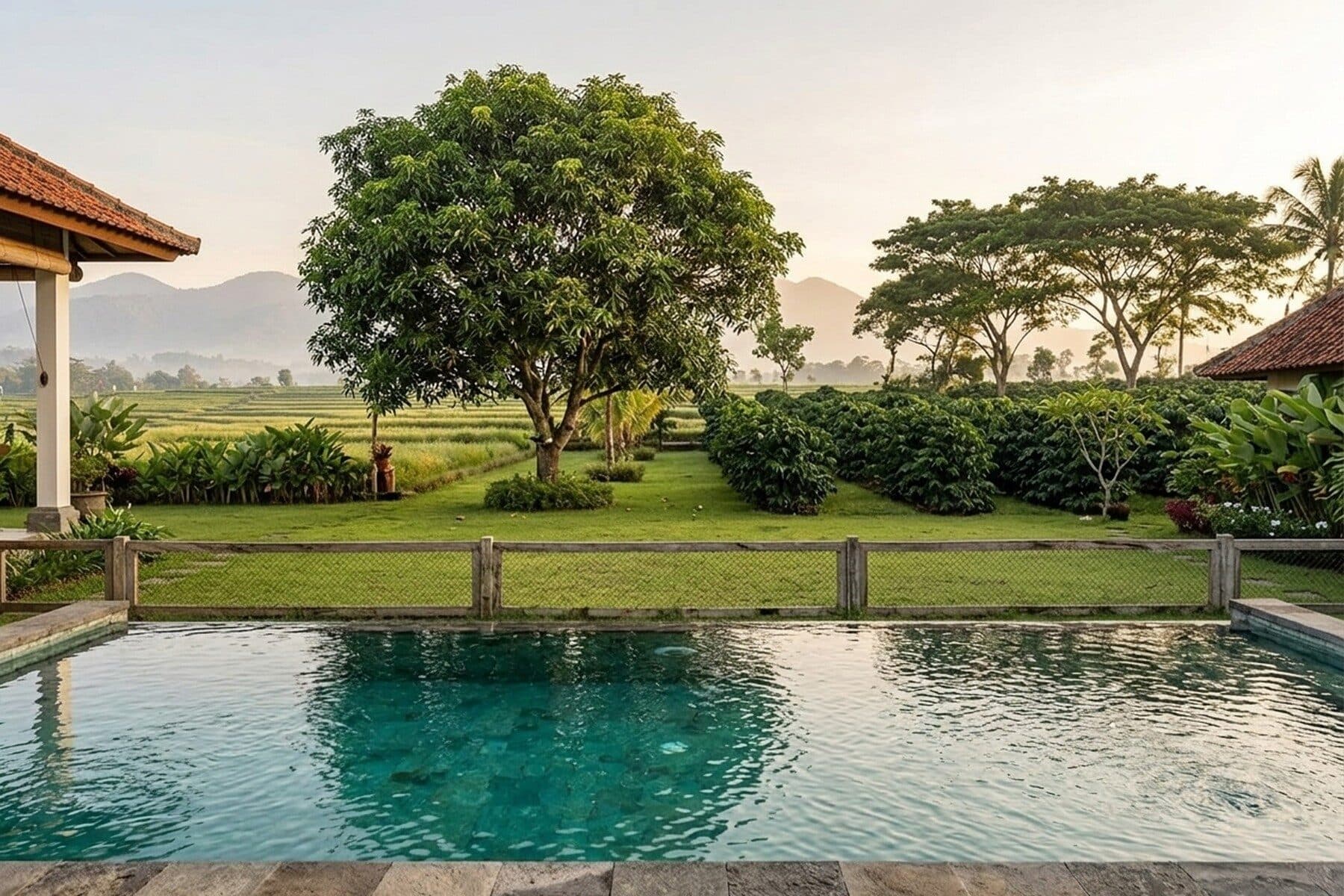 Griya Kopi: Pool and lawn